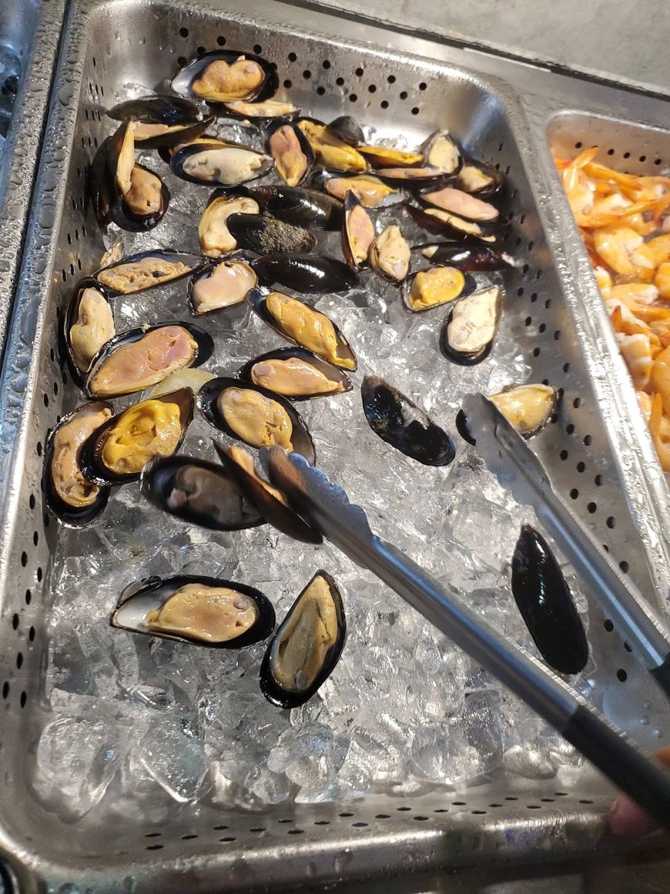 Two Oysters Swimming in Ice